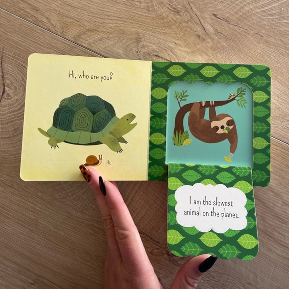 What Is a Sloth Children’s Book - Picture 3 of 4